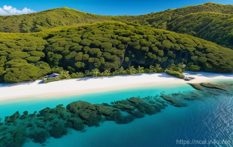 누벨칼레도니 저렴한 숙소 찾기 - Here are three detailed image prompts in English, designed to capture the essence of New Caledonia t...